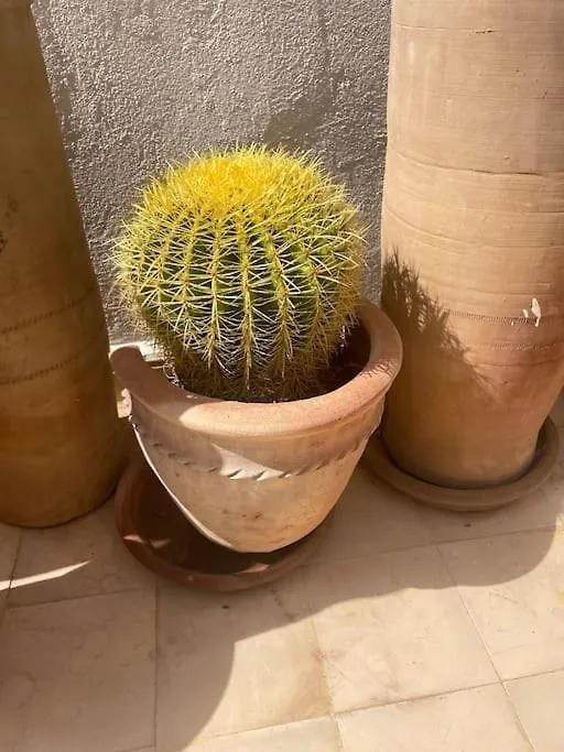 Riad Bab 19 Marrakesh