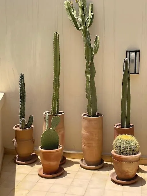 Holiday home Riad Bab 19 Marrakesh Morocco